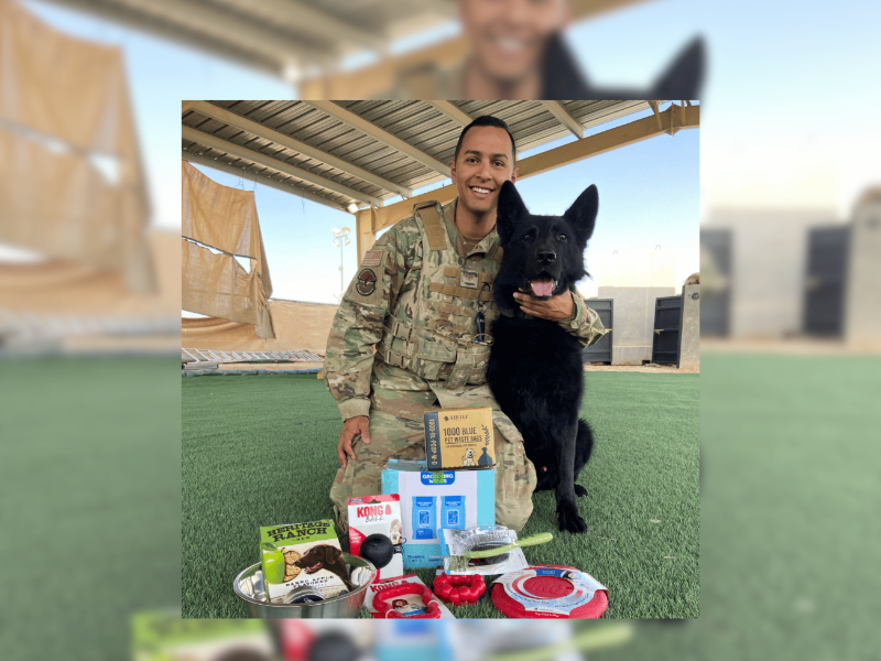 Honor Military Working Dogs - Fox Run Animal Hospital